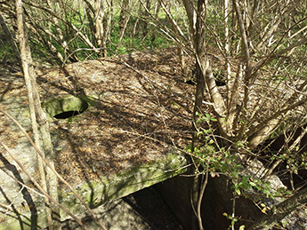 Numerous Abandoned Wells