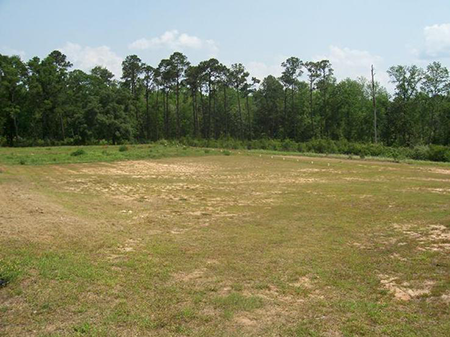 Treated Effluent Dripfield